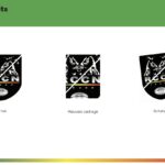 Charte graphique logo 5/7