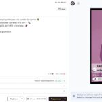 Metricool vidéo Instagram